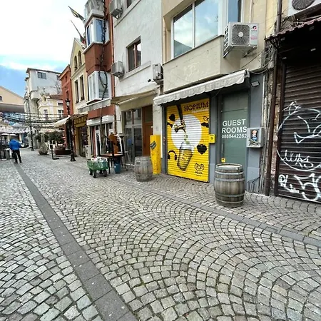 Ivo's Guest Guest house Plovdiv